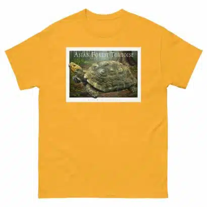 Asian Forest Tortoise - Unisex classic tee - Image 9
