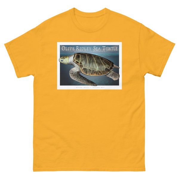 Olive Ridley Sea Turtle - Unisex classic tee - Image 9