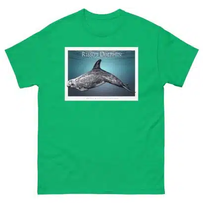 Risso's Dolphin - Unisex classic tee - Image 7