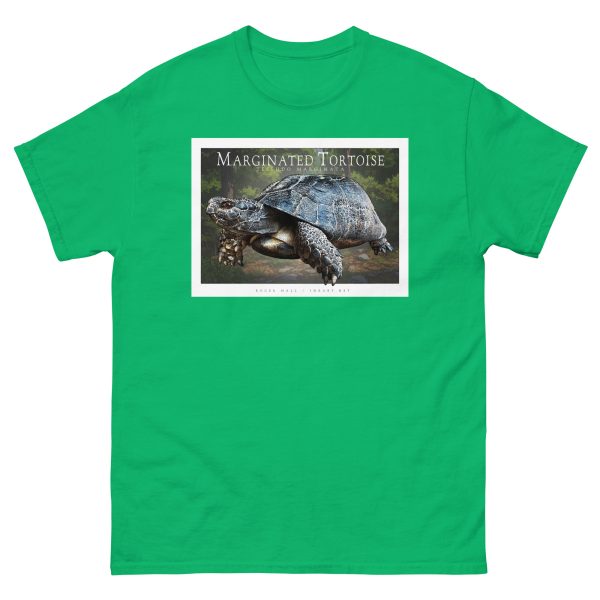 Marginated Tortoise - Unisex classic tee - Image 7