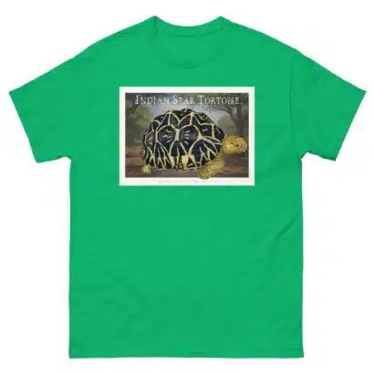 Indian Star Tortoise - Unisex classic tee - Image 7