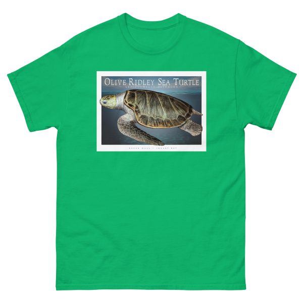 Olive Ridley Sea Turtle - Unisex classic tee - Image 7