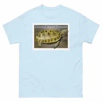Central Asian Tortoise - Unisex classic tee - Image 11