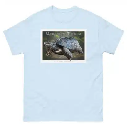Marginated Tortoise - Unisex classic tee - Image 11