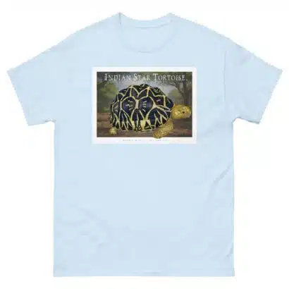 Indian Star Tortoise - Unisex classic tee - Image 11