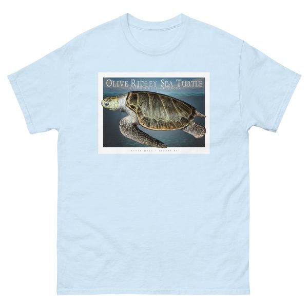 Olive Ridley Sea Turtle - Unisex classic tee - Image 11