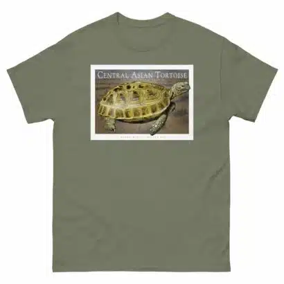 Central Asian Tortoise - Unisex classic tee - Image 6