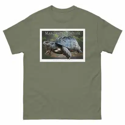 Marginated Tortoise - Unisex classic tee - Image 6