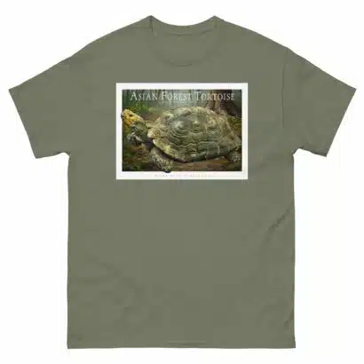 Asian Forest Tortoise - Unisex classic tee - Image 6