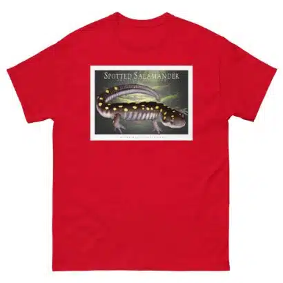 Spotted Salamander - Unisex classic tee - Image 4