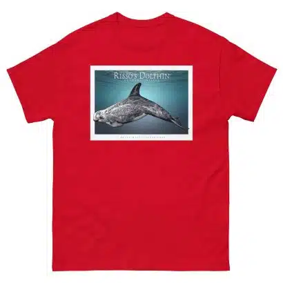 Risso's Dolphin - Unisex classic tee - Image 4