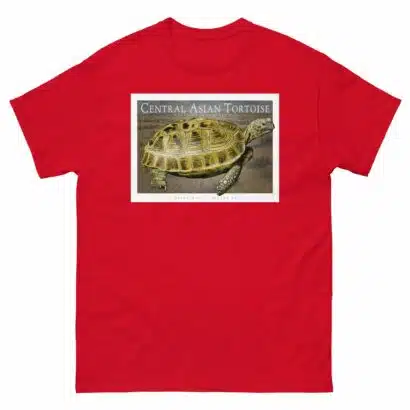 Central Asian Tortoise - Unisex classic tee - Image 4