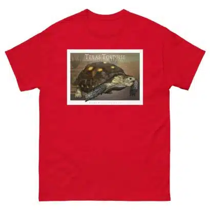 Texas Tortoise -Unisex classic tee - Image 4