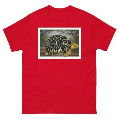 Indian Star Tortoise - Unisex classic tee - Image 4