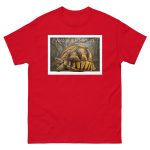 Angonoka Tortoise - Unisex classic tee - Image 4
