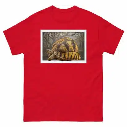 Angonoka Tortoise - Unisex classic tee - Image 4