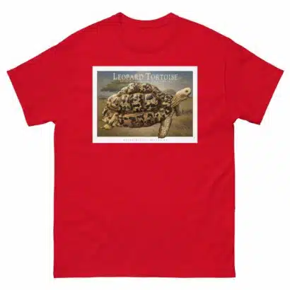 Leopard Tortoise - Unisex classic tee - Image 4