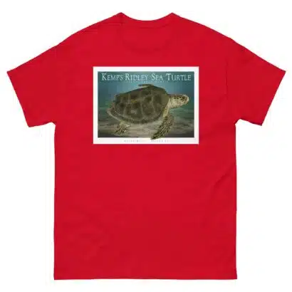 Kemp's Ridley Sea Turtle - Unisex classic tee - Image 4