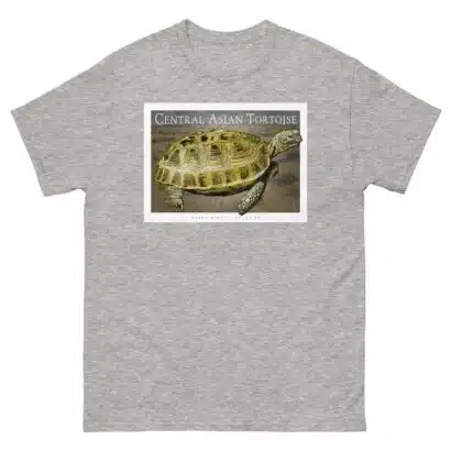 Central Asian Tortoise - Unisex classic tee - Image 10