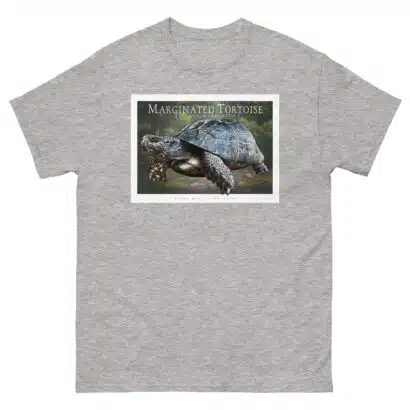 Marginated Tortoise - Unisex classic tee - Image 10