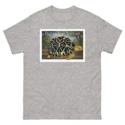 Indian Star Tortoise - Unisex classic tee - Image 10