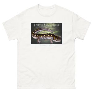 Fine art illustration of a Spotted Salamander printed on a high-quality 100% unisex cotton t-shirt.