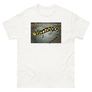 Fine art illustration of a Tiger Salamander printed on a high-quality 100% unisex cotton t-shirt.