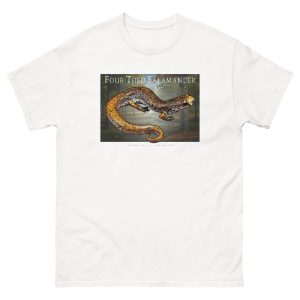 Fine art illustration of a Four-Toed Salamander printed on a high-quality 100% unisex cotton t-shirt.