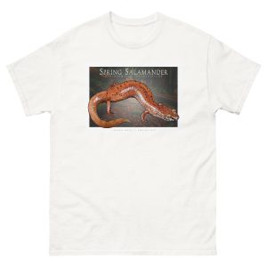 Fine art illustration of a Spring Salamander printed on a high-quality 100% unisex cotton t-shirt.