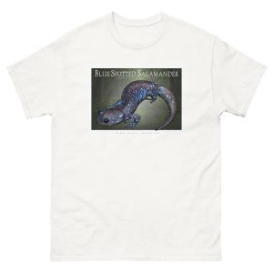 Fine art illustration of a Blue-Spotted Salamander printed on a high-quality 100% unisex cotton t-shirt.