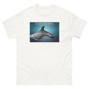 Fine art illustration of a Risso's Dolphin printed on a high-quality 100% unisex cotton t-shirt.