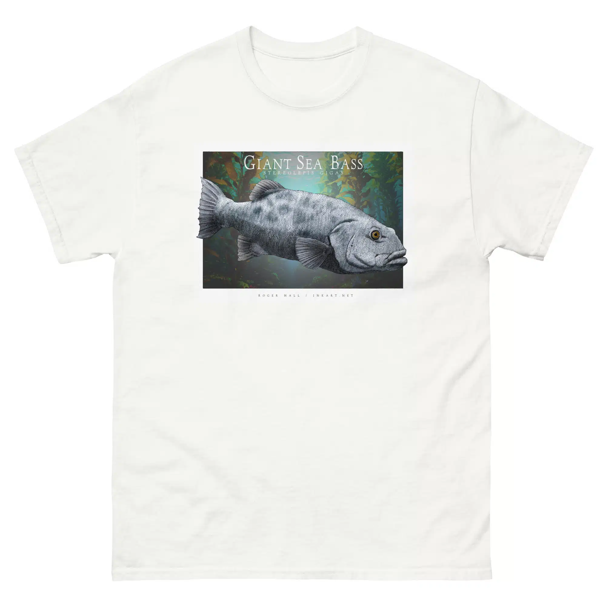 Giant Sea Bass unisex-classic-tee-white Fine art illustration of a Giant Sea Bass printed on a high-quality 100% unisex cotton t-shirt.