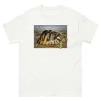 Fine art illustration of a Kleinmann's Tortoise printed on a high-quality 100% unisex cotton t-shirt.