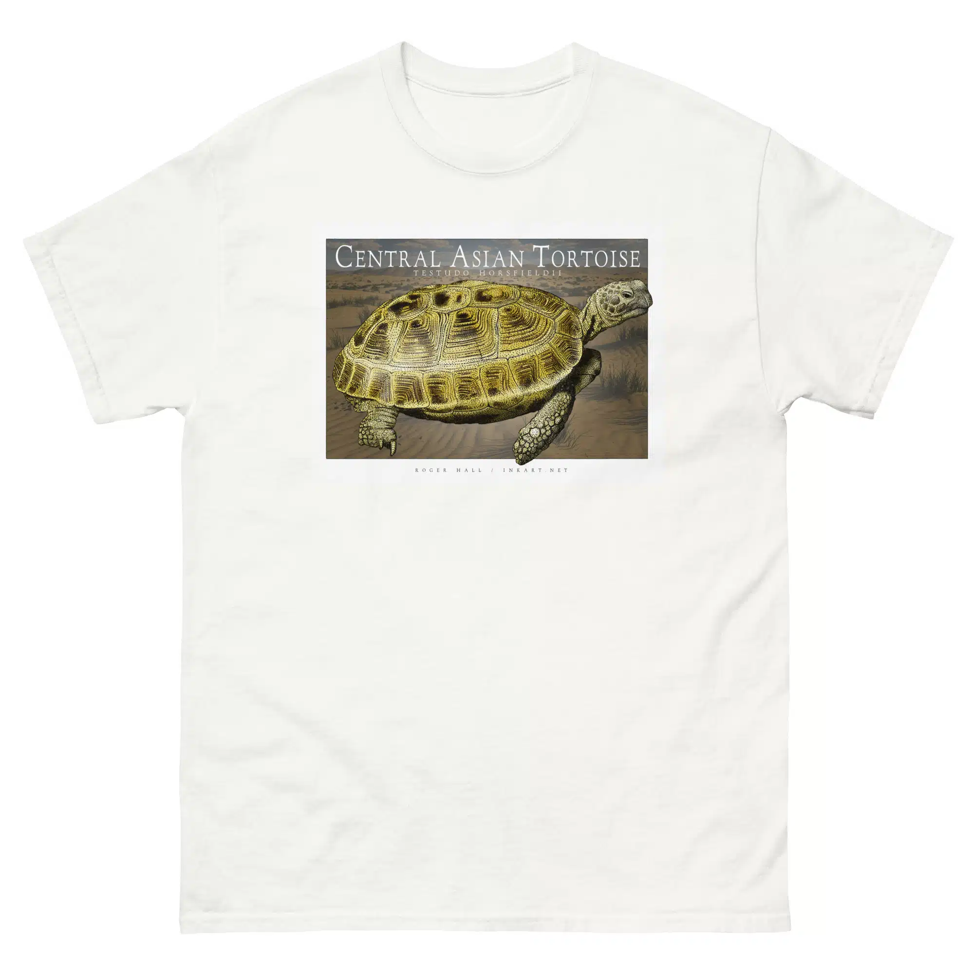 Central Asian Tortoise unisex-classic-tee-white Fine art illustration of a Central Asian Tortoise printed on a high-quality 100% unisex cotton t-shirt.