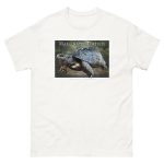 Fine art illustration of a Marginated Tortoise printed on a high-quality 100% unisex cotton t-shirt.