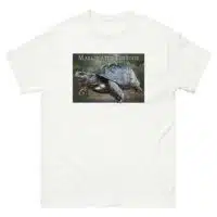 Fine art illustration of a Marginated Tortoise printed on a high-quality 100% unisex cotton t-shirt.