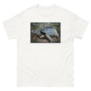 Fine art illustration of a Marginated Tortoise printed on a high-quality 100% unisex cotton t-shirt.