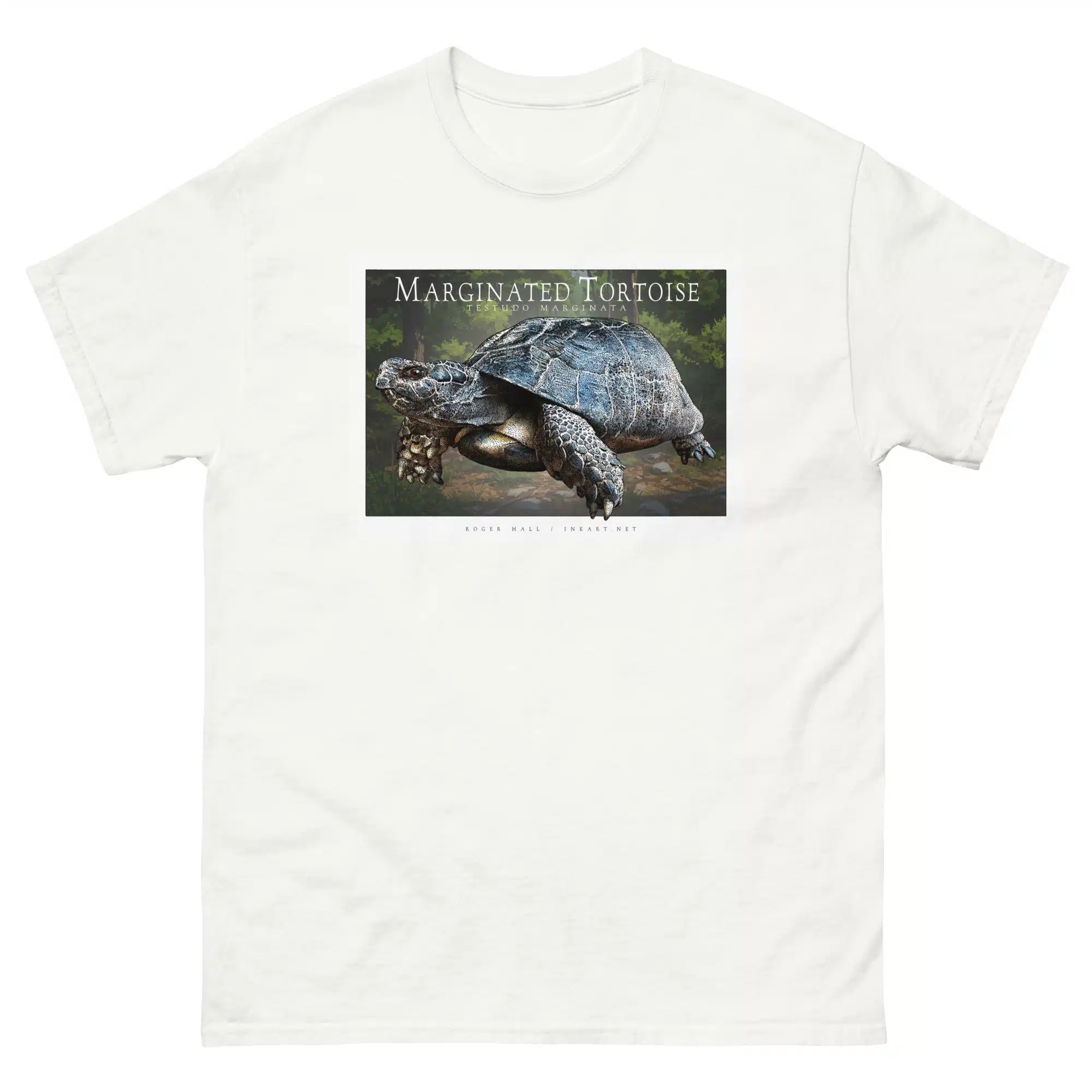 Marginated Tortoise unisex-classic-tee-white Fine art illustration of a Marginated Tortoise printed on a high-quality 100% unisex cotton t-shirt.