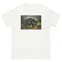 Fine art illustration of an Indian Star Tortoise printed on a high-quality 100% unisex cotton t-shirt.