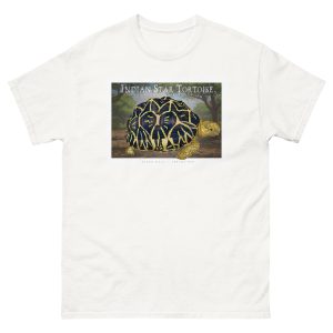Fine art illustration of an Indian Star Tortoise printed on a high-quality 100% unisex cotton t-shirt.