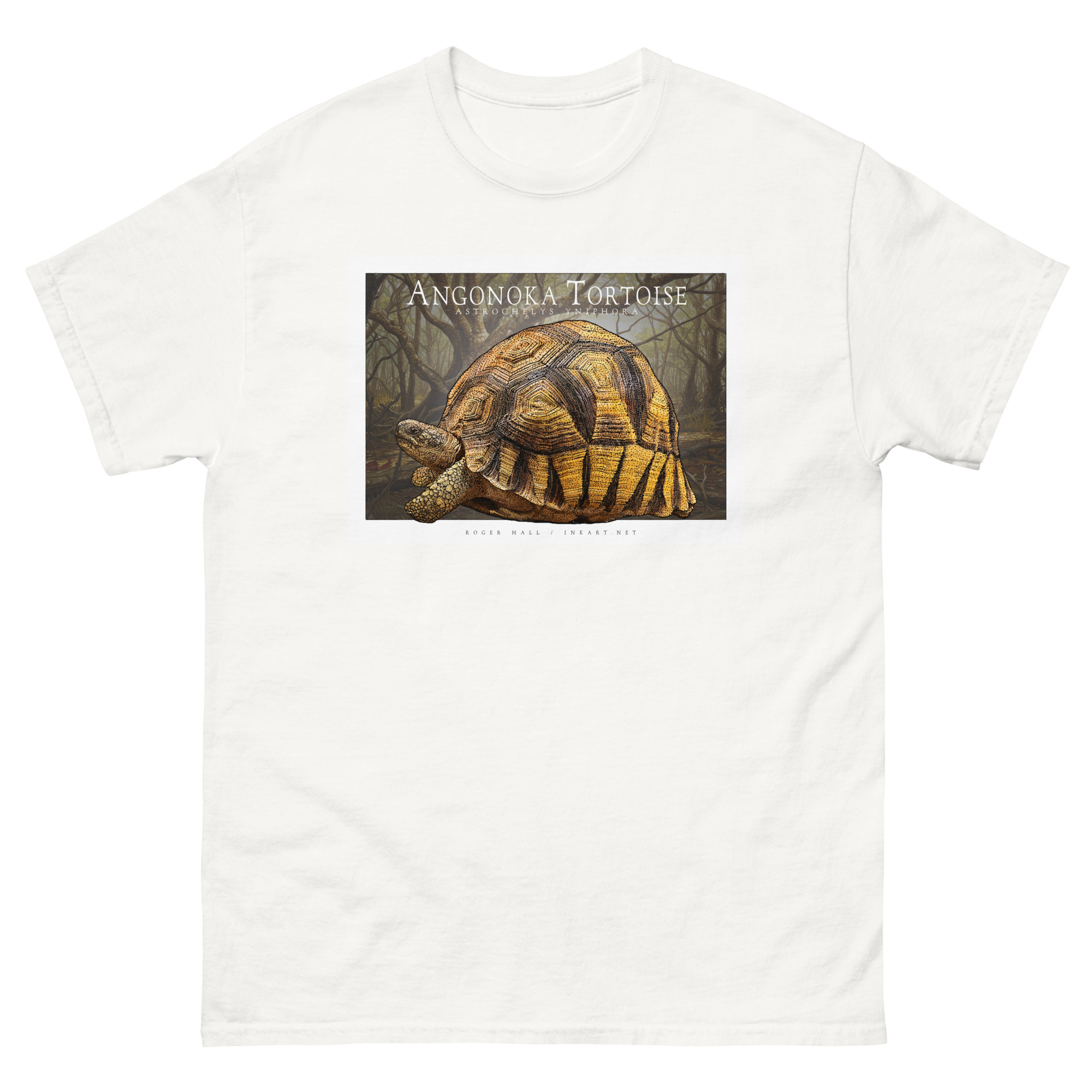 Angonoka tortoise unisex-classic-tee-white Fine art illustration of an Angonoka tortoise printed on a high-quality 100% unisex cotton t-shirt.