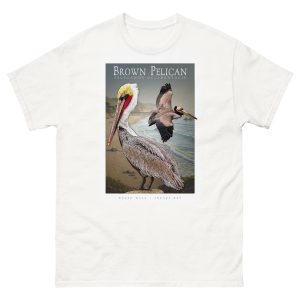 Fine art illustration of a Brown Pelican printed on a high-quality 100% unisex cotton t-shirt.