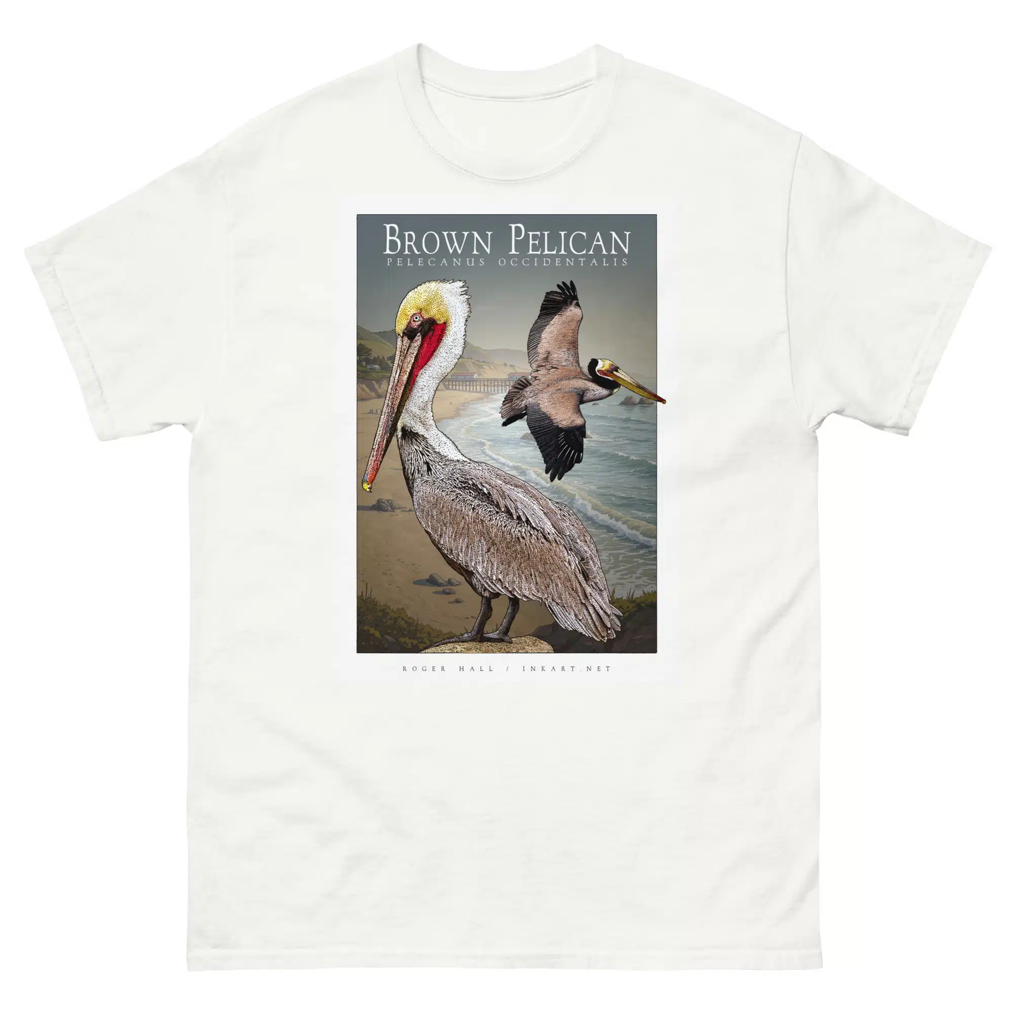 Brown Pelican unisex-classic-tee-white Fine art illustration of a Brown Pelican printed on a high-quality 100% unisex cotton t-shirt.