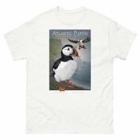Fine art illustration of an Atlantic Puffin printed on a high-quality 100% unisex cotton t-shirt.