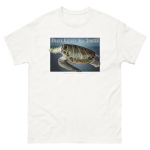 Fine art illustration of an Olive Ridley Sea Turtle printed on a high-quality 100% unisex cotton t-shirt.