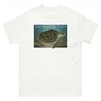 Fine art illustration of a Kemp's Ridley Sea Turtle printed on a high-quality 100% unisex cotton t-shirt.