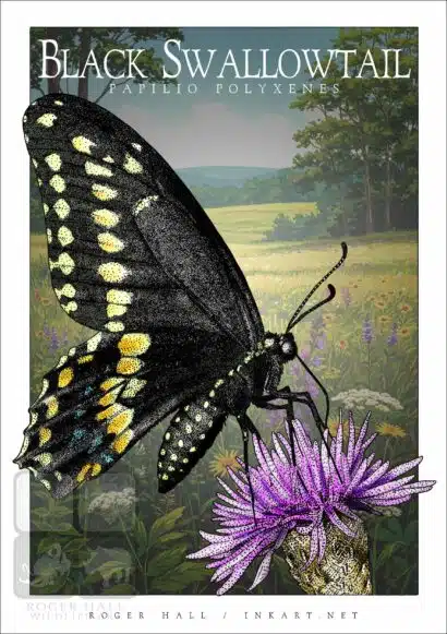 Black Swallowtail Butterfly - Unisex classic tee - Image 2