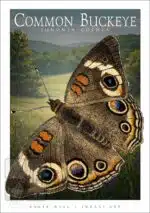 Common Buckeye Butterfly - Unisex classic tee - Image 2