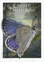 Eastern Tailed-Blue Butterfly - Unisex classic tee - Image 2