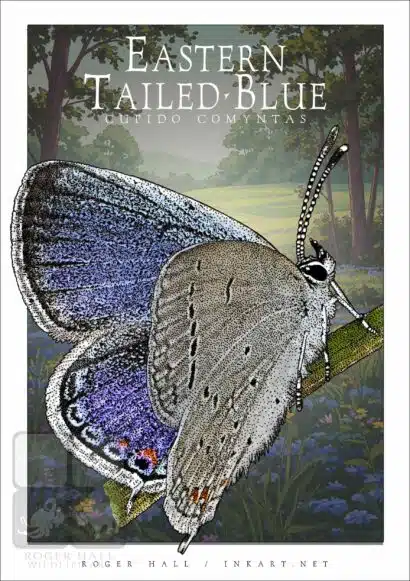 Eastern Tailed-Blue Butterfly - Unisex classic tee - Image 2